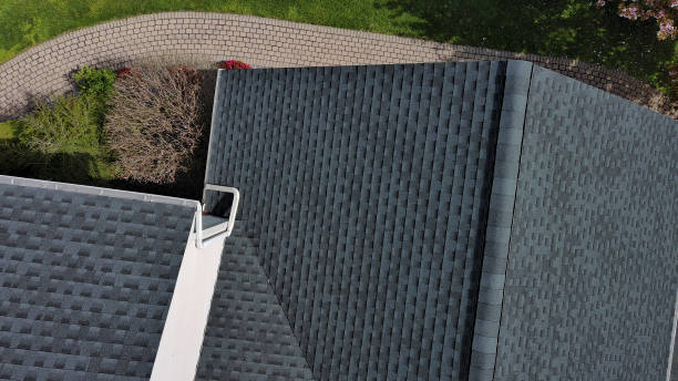 Best Roof Moss and Algae Removal  in Fountain Hills, AZ